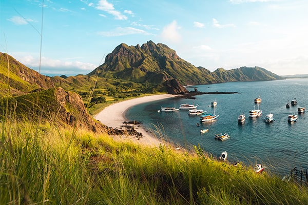 Rajasthan Royal Heritage